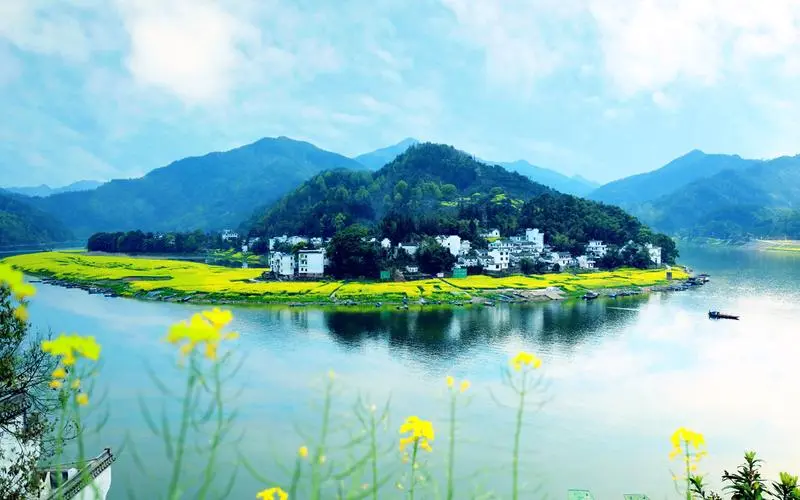 节能环保全自动